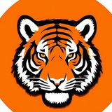 Telegram profile photo for revizor_vdk25приморье онлайн Экипаж ДПС VL contol 125 няня чп Владивостко Приморье Артем Находка Уссурийск egervl vtoryak.vdk