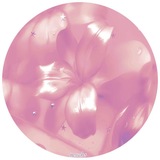 Telegram profile photo for ♔ᵗ᷒ᰰ ⁞ ׄ 𝒘𝒊𑪋𑪋𝐧᪾𝒔 ׅ ✿ ꯭ ◌
