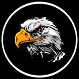 Telegram profile photo for Динамо Орлец🇷🇺|Официальный Канал Рофл-Клуба