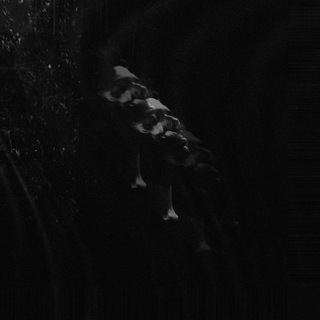Telegram profile photo for Rave...🥀