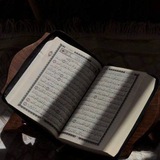 Telegram profile photo for صـدقهہ جاريه 🌱