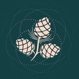 Telegram profile photo for AV ORGANICS