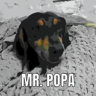 Telegram profile photo for oh woopi ...
