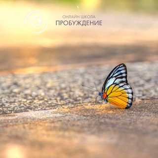 Telegram profile photo for ПРОБУЖДЕНИЕ онлайн-школа