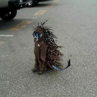 Telegram profile photo for Тёмный угол Ричика..