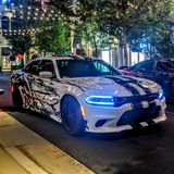 Telegram profile photo for Terms of Service