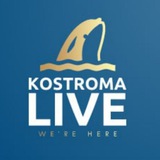 Telegram profile photo for Кострома лайв