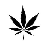 Telegram profile photo for Weed Legalise