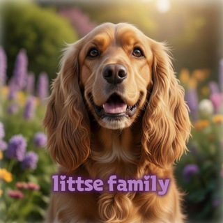 Telegram profile photo for littse family
