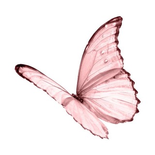 Telegram profile photo for 𝓗𝓪𝓹𝓹𝔂...