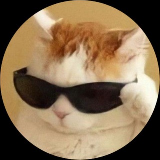 Telegram profile photo for ШУТНИЧОК ⚡️