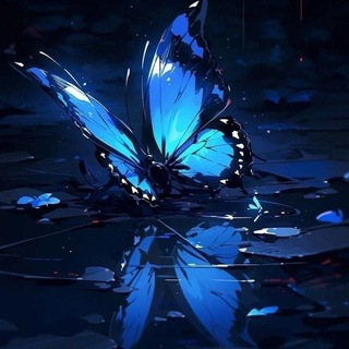 Telegram profile photo for Butterfly🦋