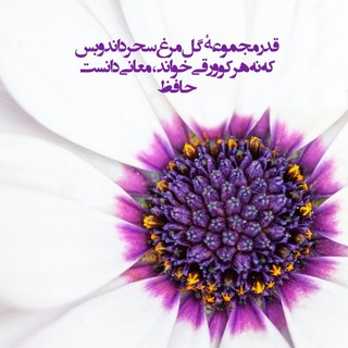 Telegram profile photo for آرشیو ۱