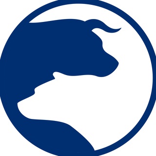 Telegram profile photo for Alpha4All Italia