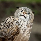 Telegram profile photo for Мемасики