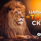 Telegram profile photo for Обучение Неработа