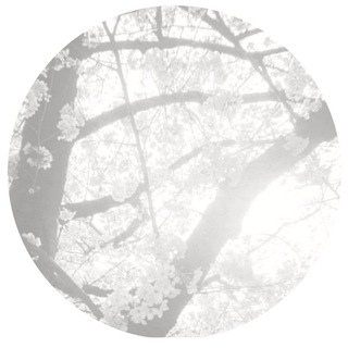 Telegram profile photo for ㅤ 𝓲⃪᷼ 𝆹۪𝆬݃𝗇f͜͡℘