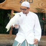 Telegram profile photo for Alfiyannoor | Nadi Qalbi