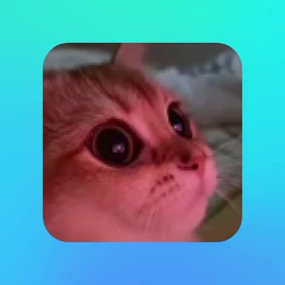 Telegram profile photo for Блог афисада