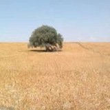 Telegram profile photo for قلعه ی اصلانیان