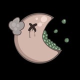 Telegram profile photo for оьеаз
