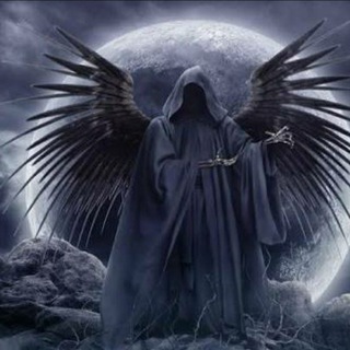 Telegram profile photo for Crypster's Calls