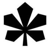 Telegram profile photo for столична хроніка