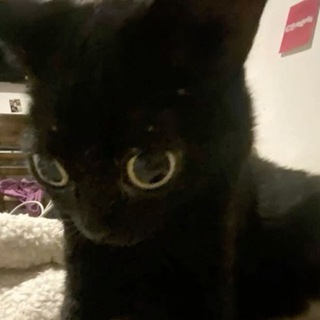 Telegram profile photo for Саншайн