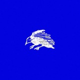 Telegram profile photo for евшенко
