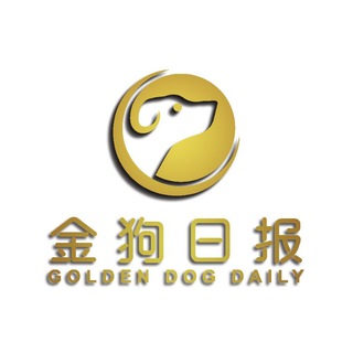 Telegram profile photo for 金狗日报