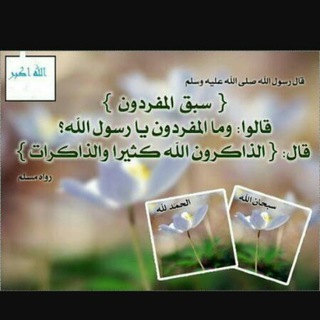Telegram profile photo for ☘ كن ذا اثر🍃