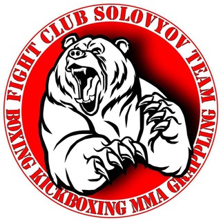 Telegram profile photo for Solovyov Team