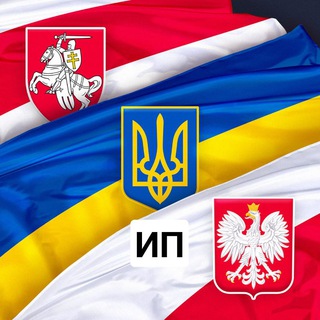 Telegram profile photo for ИП в Польше