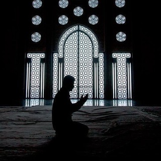 Telegram profile photo for صديقُ اللّيل♡.