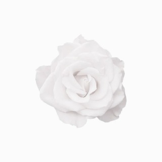 Telegram profile photo for Silent store