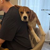 Telegram profile photo for сегодня я