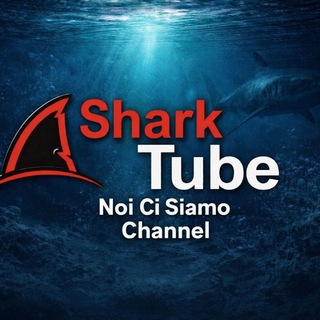 Telegram profile photo for π° NOI CI SIAMO NEWS CHANNEL π°