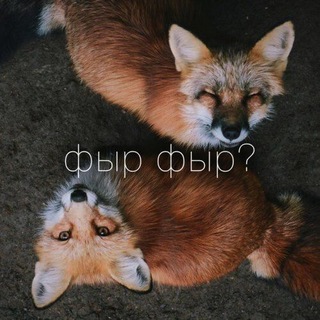 Telegram profile photo for Лисий кустꕥ