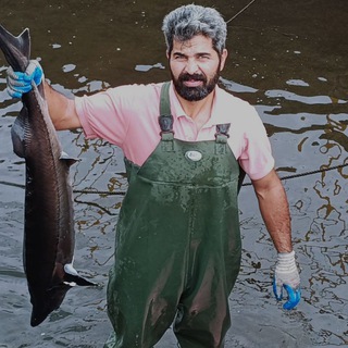Telegram profile photo for آموزش تولید ماهی خاویاری🦈