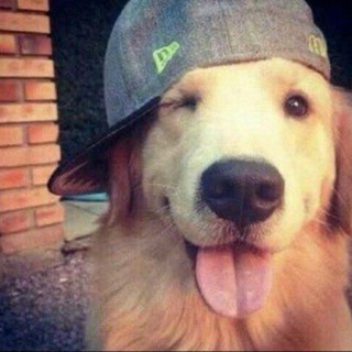 Telegram profile photo for Гикхаус