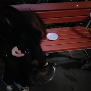 Telegram profile photo for Кукольный домик ди