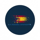 Telegram profile photo for ⚔️🇪🇦 La España Despierta 🇪🇦⚔️