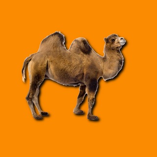 Telegram profile photo for #100cosebelle