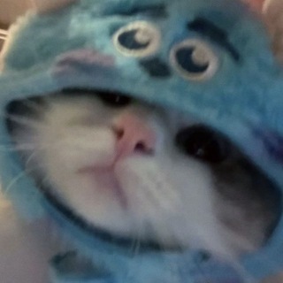 Telegram profile photo for smash spam & give