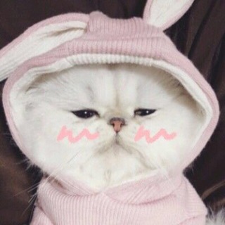 Telegram profile photo for Quotes&video🌹
