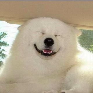 Telegram profile photo for Работа в Казани