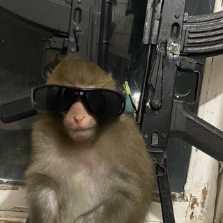 Telegram profile photo for ПРИМЕРЫ БИБИЗЯНА