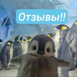 Telegram profile photo for Fialisss | Отзывы