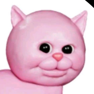 Telegram profile photo for altstel