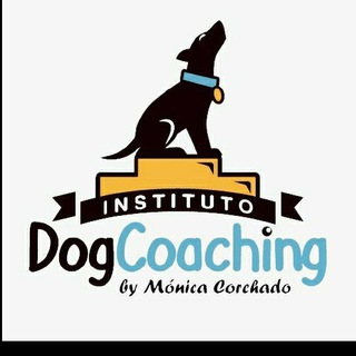 Telegram profile photo for Instituto Dog Coaching